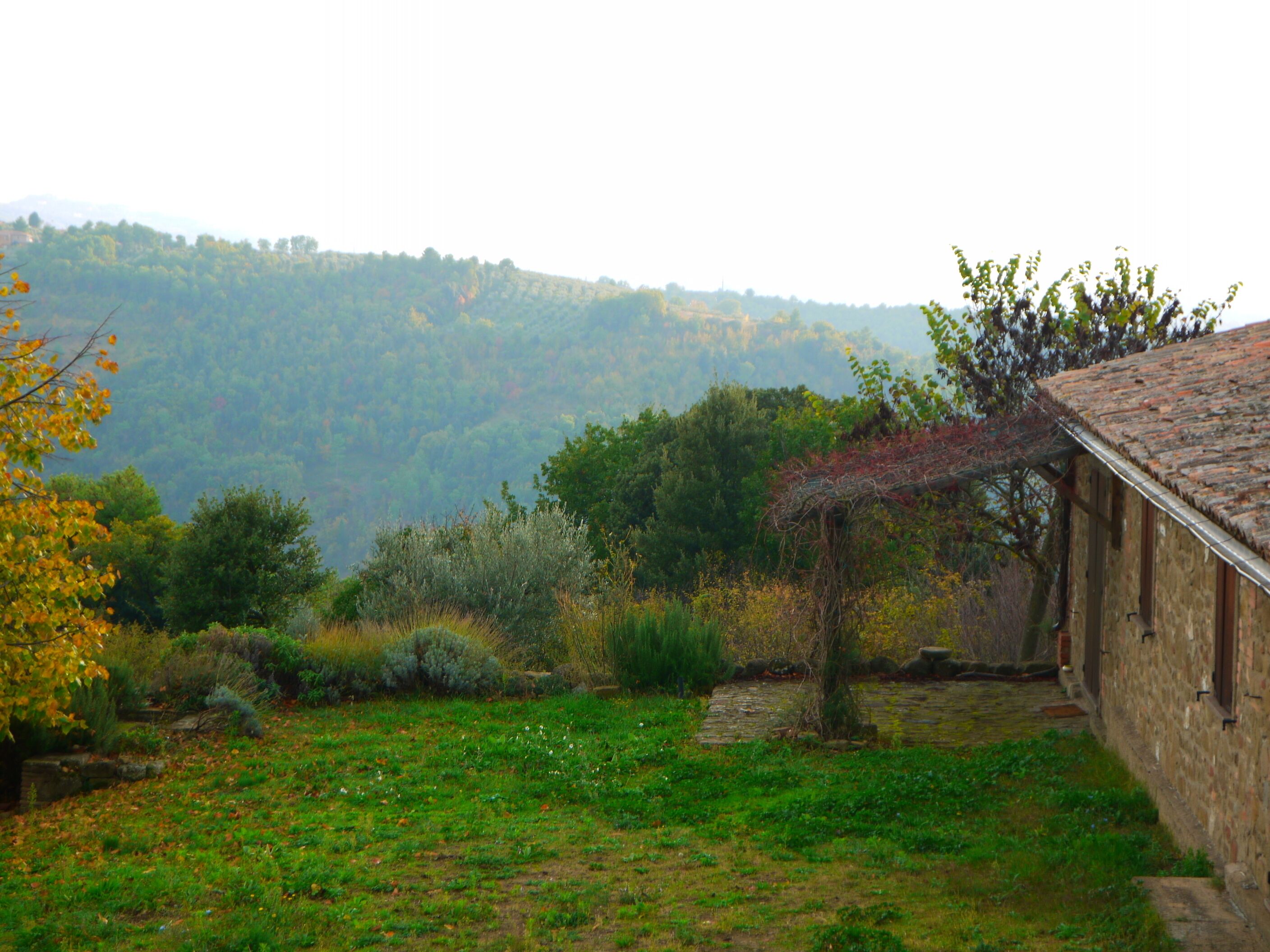 A rustic stone building with a sloped roof, surrounded by a grassy area with wildflowers and shrubs.