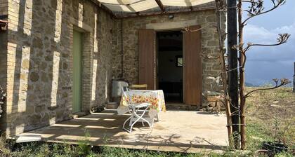 A place for the muse, unusually close to nature, but luxurious and well connected.