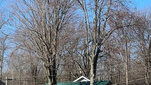 A cabin with a green roof, a dock, and a pond in the foreground. - Newly Remodeled Cabin Steps from Sylvan Lake (Rome City)