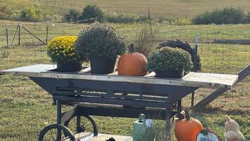 Áreas de la propiedad