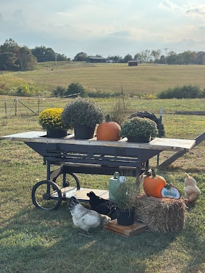 Property grounds - Glamping Tent at Noble Pine Campground (Mammoth Cave)