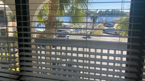 A view through window blinds of a parking lot with palm trees and a body of water in the background. - Carrabelle River Condo  (Carrabelle)