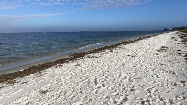 A beach with white sand and a clear blue sky. - Carrabelle River Condo  (Carrabelle)