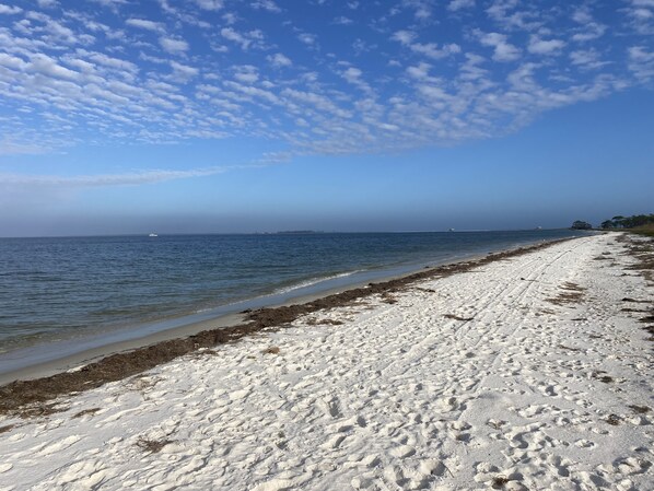 Serviettes de plage