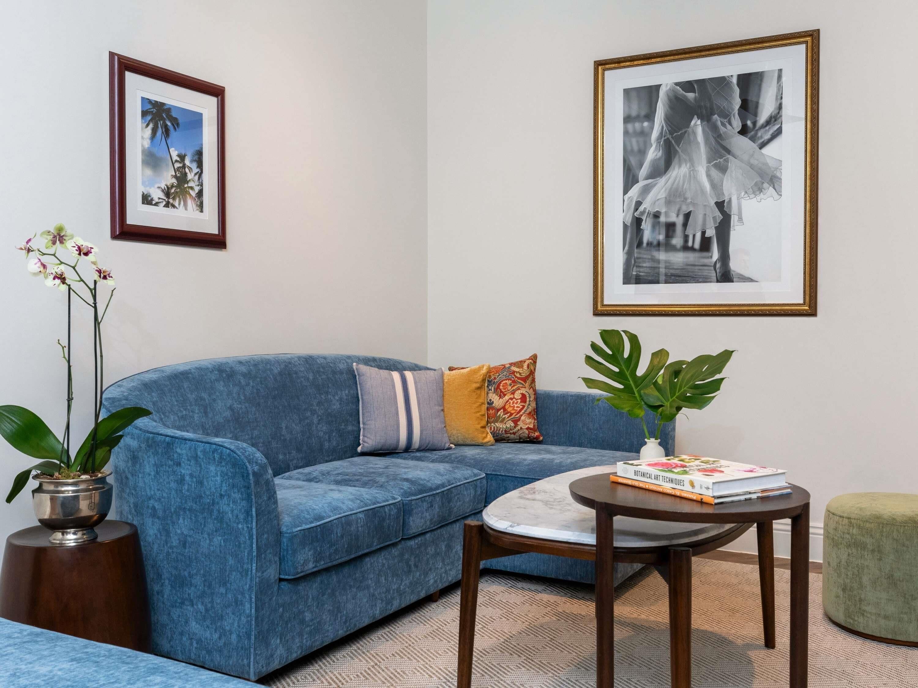 Ein blaues Sofa mit Kissen, ein gerahmtes Bild eines Gebäudes, eine Topfpflanze und ein Tisch mit einem Buch.