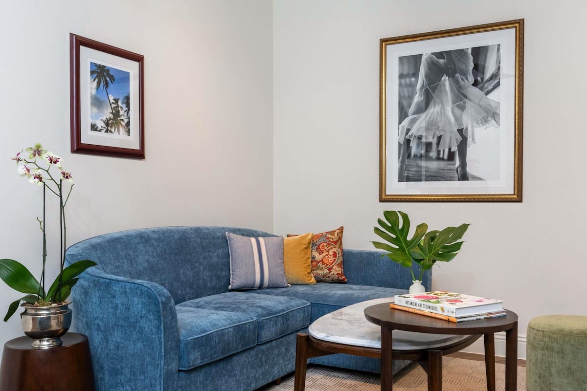 Ein blaues Sofa mit Kissen, ein gerahmtes Bild eines Gebäudes, eine Topfpflanze und ein Tisch mit einem Buch.