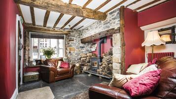 Flachbildfernseher, Kamin, DVD-Player, Videothek