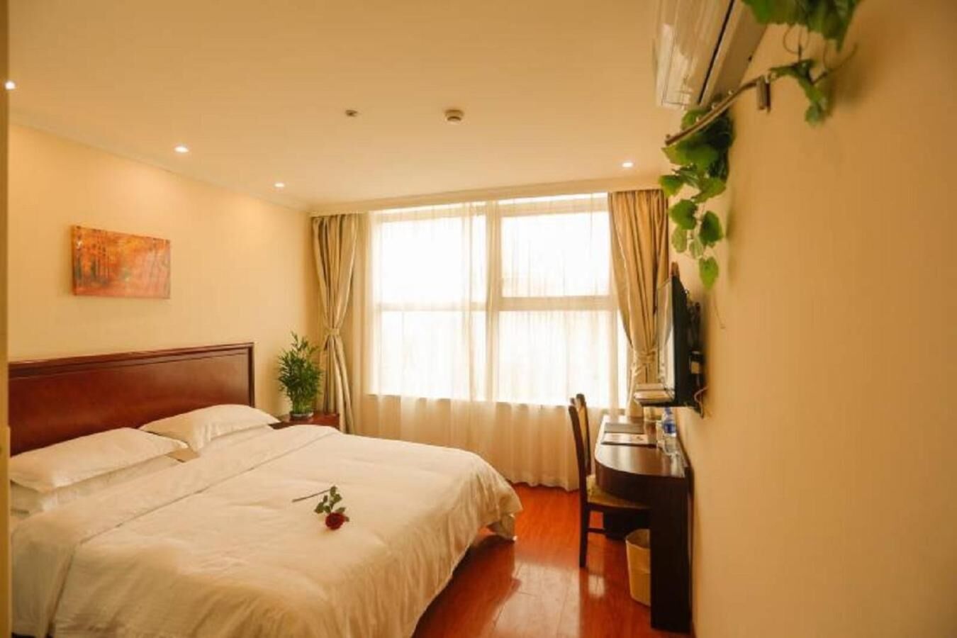 A hotel room with a bed, a desk, a chair, a window with curtains, a plant, and an air conditioning unit.