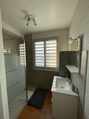 Shower, hair dryer, toilet paper