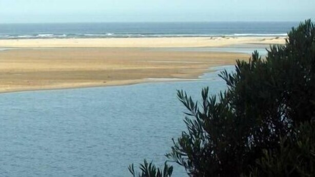 Una playa con una extensa franja de arena y un mar tranquilo.