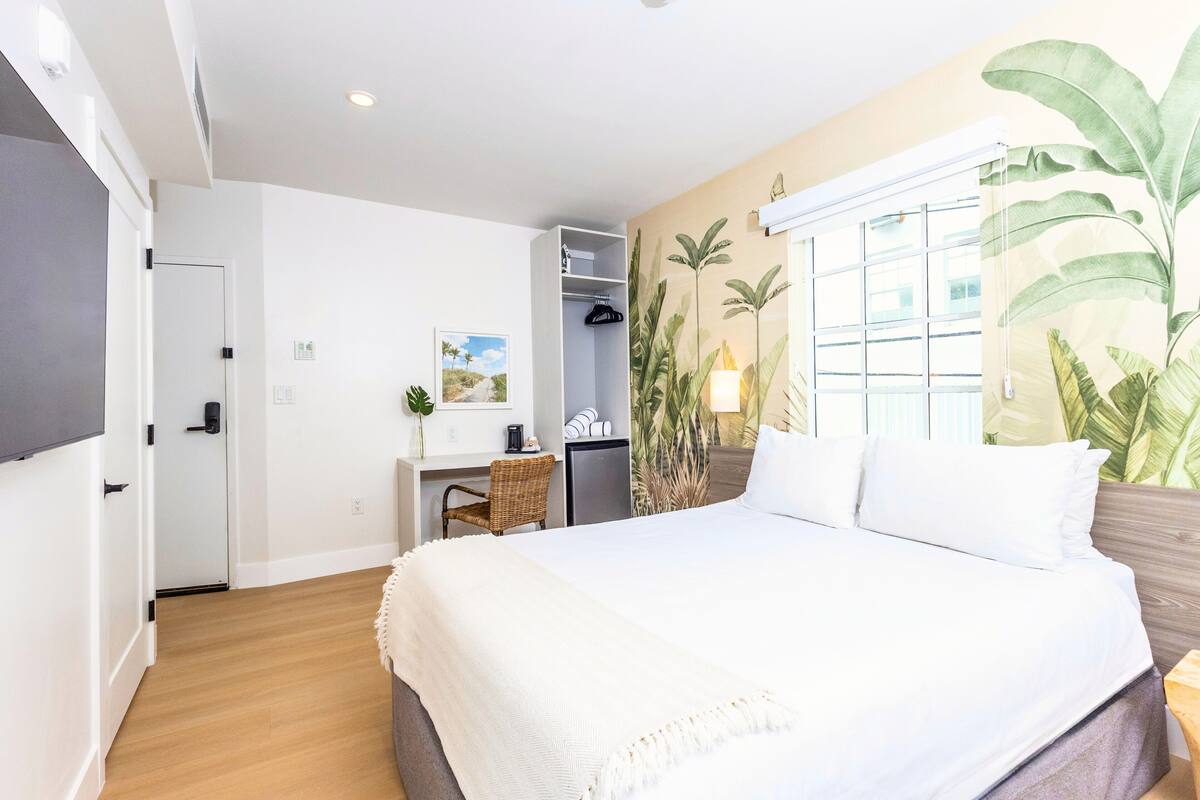 Habitación de hotel con cama, escritorio, silla, televisor, ventana y planta.