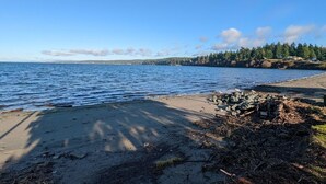 A beach with clear skies, calm water, and a forested area in the background.