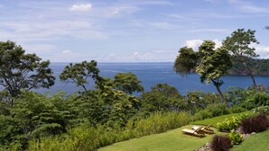 A lush garden with a seating area overlooking a body of water.