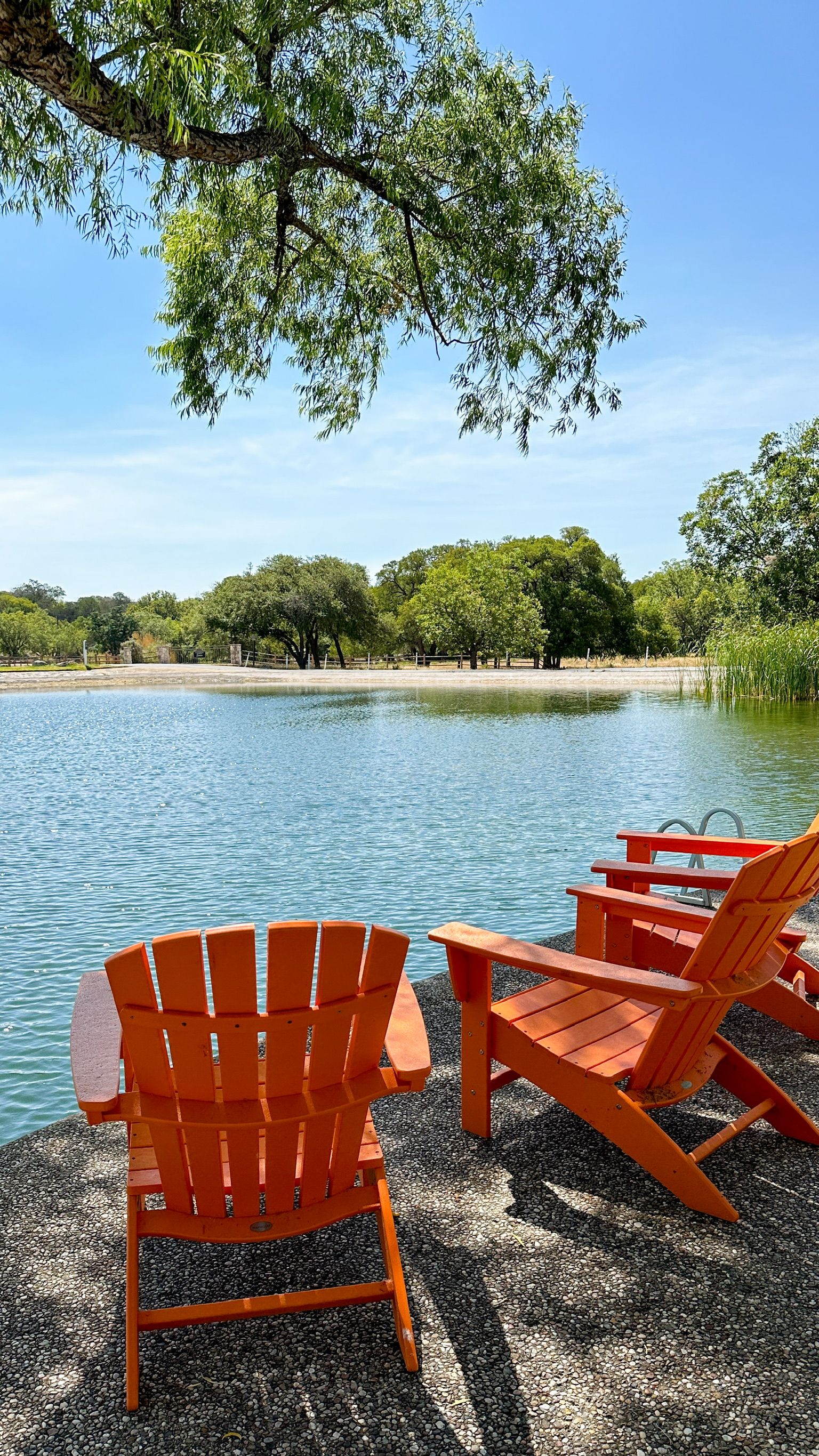A lakeside view with orange Adirondack chairs and a table, surrounded by trees and a clear sky.