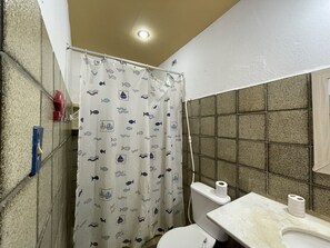 Ducha, toallas, papel higiénico