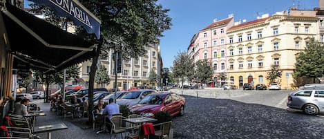 Vista desde la propiedad