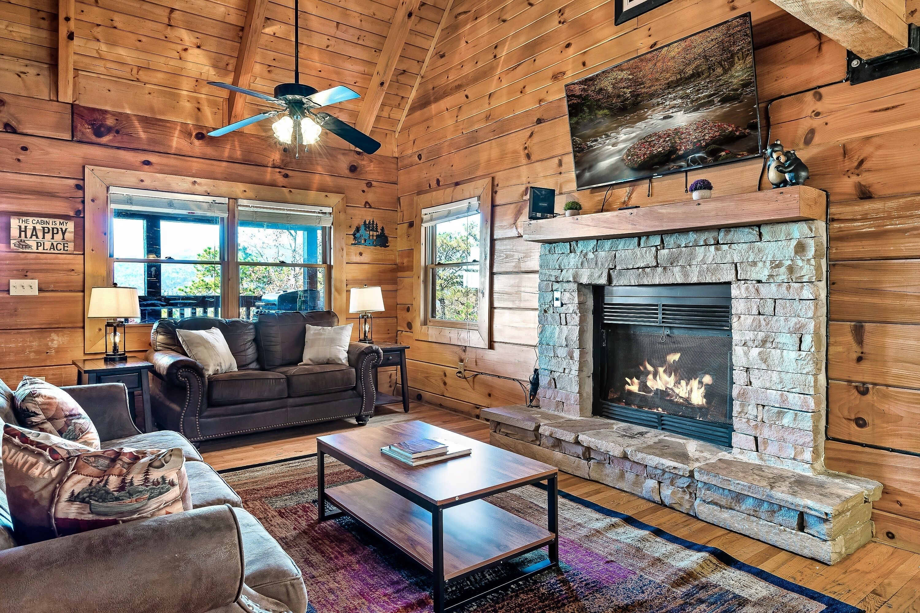 Smart TV, lareira, videogames, livros