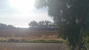 A rural landscape with a road, fields, and trees. - Apartment - Sleeps 2 - Parking - 5min To La Frasca (Civitavecchia)
