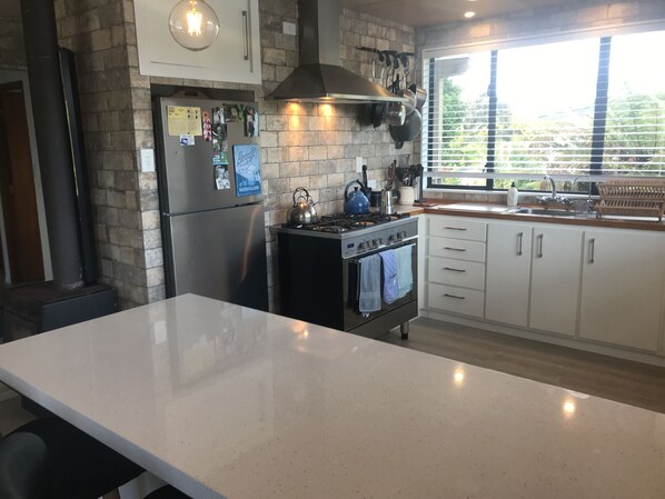 Fridge, oven, stovetop, electric kettle