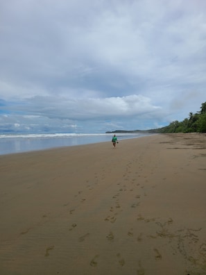 Plage à proximité, serviettes de plage