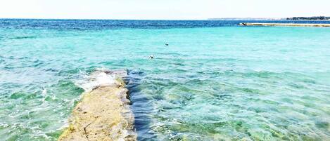 A clear view of a pier extending into turquoise water with a distant shoreline.