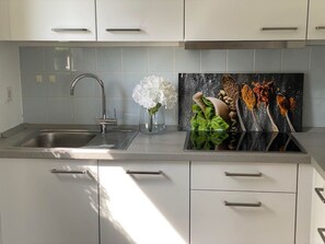 Kjøleskap, ovn, kokeplater og oppvaskmaskin