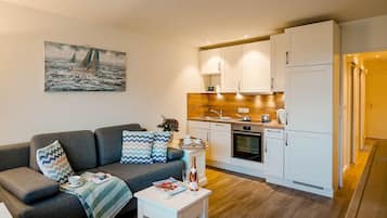 Televisor i estèreo