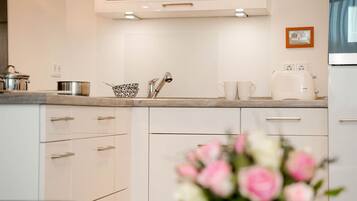 Kühlschrank, Ofen, Herdplatte, Geschirrspüler