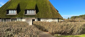 Passat - Relaxed island life: Cozy vacation apartment in Wenningstedt on