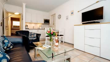 Fernseher, Stereoanlage