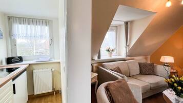 Fernseher, Stereoanlage