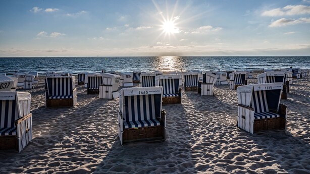Des chaises de plage sont disposées en rangées sur une plage de sable, avec l’océan en arrière-plan et le soleil qui brille.