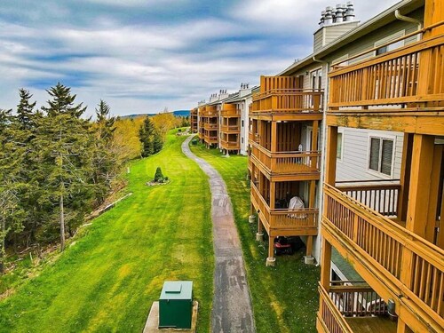 Modern Snowshoe Retreat - 3BR/2BA - Walk to Slopes + Mountain Views