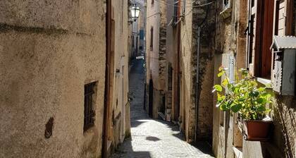 Studio - Sleeps 2 - Pets - Parking - Wifi