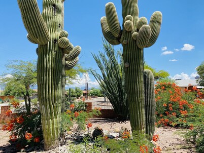 Enjoy this family-friendly house closed to Downtown and pet-friendly