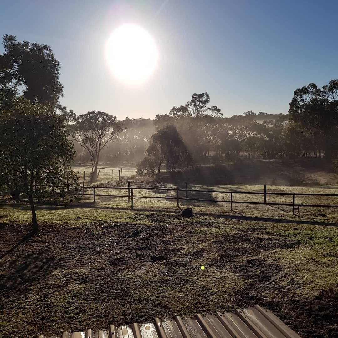 Farm stay with alpacas at your doorstep — image 11