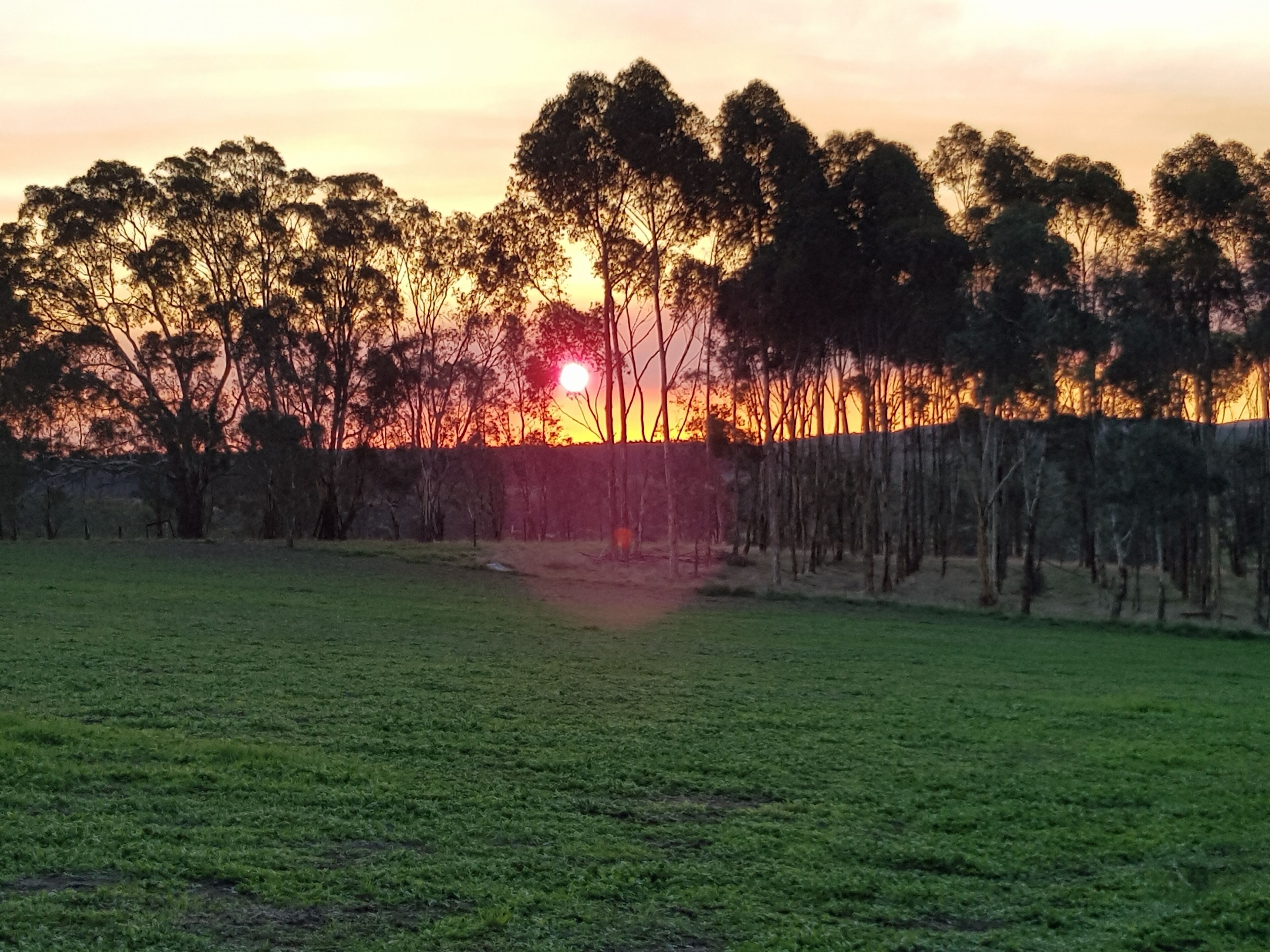 Farm stay with alpacas at your doorstep — image 12