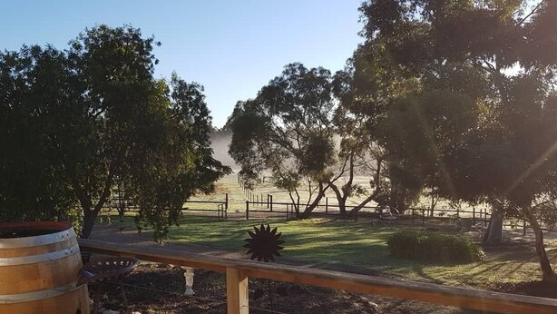 A wooden deck with a view of a park area, including trees and a fenced field. - Farm stay with alpacas at your doorstep (Cromer)