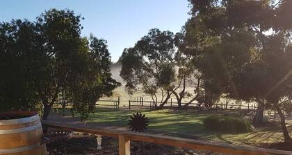 Farm stay with alpacas at your doorstep
