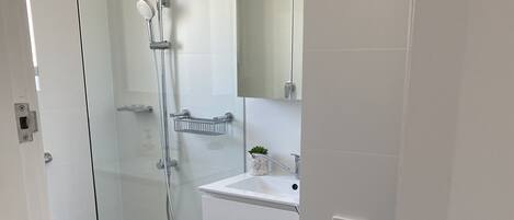 Un baño moderno con cabina de ducha de vidrio, un lavamanos blanco y una planta pequeña en la encimera.