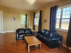 TV, fireplace, DVD player