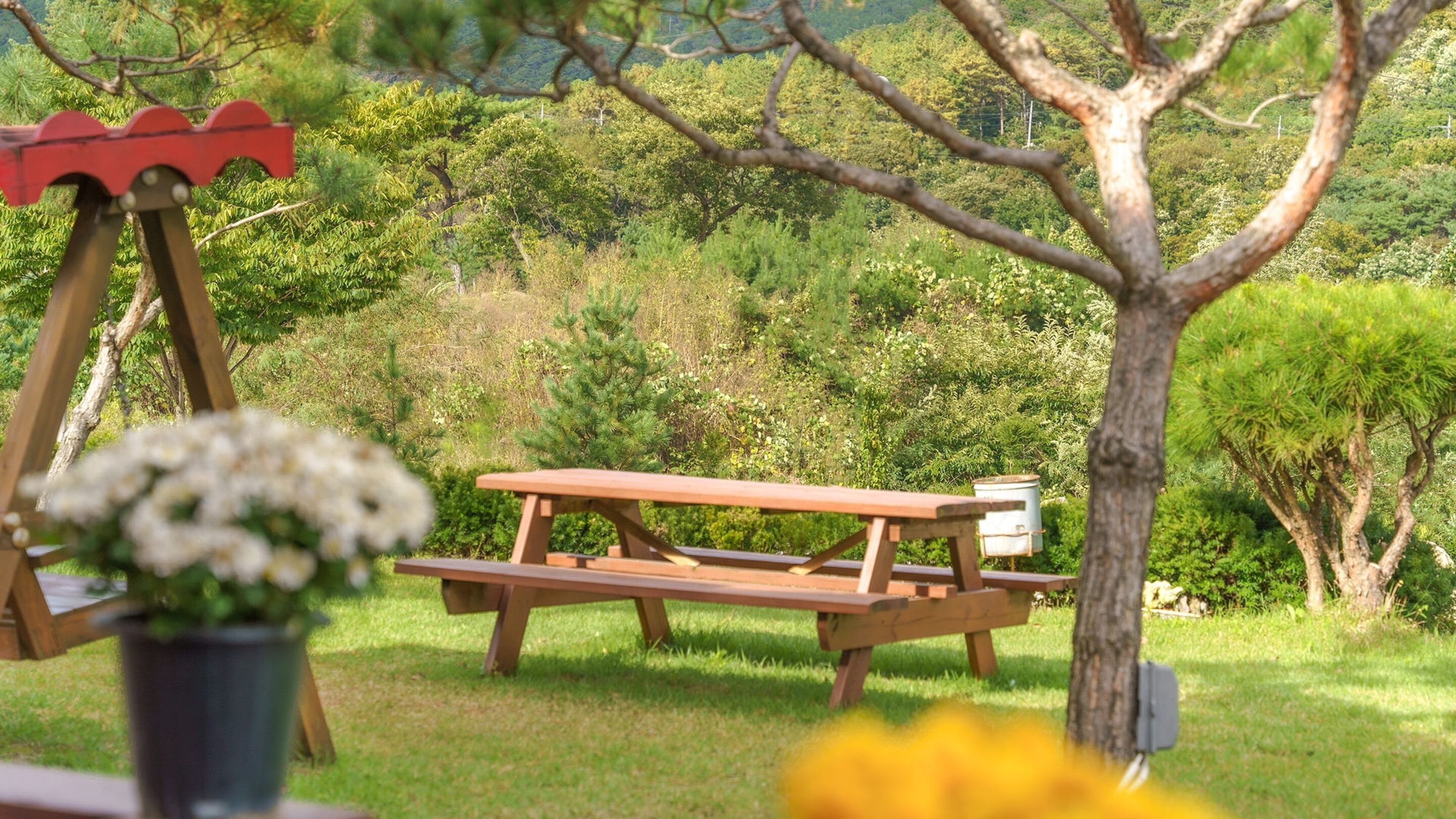 A picnic table in a grassy area with a swing set and trees in the background.