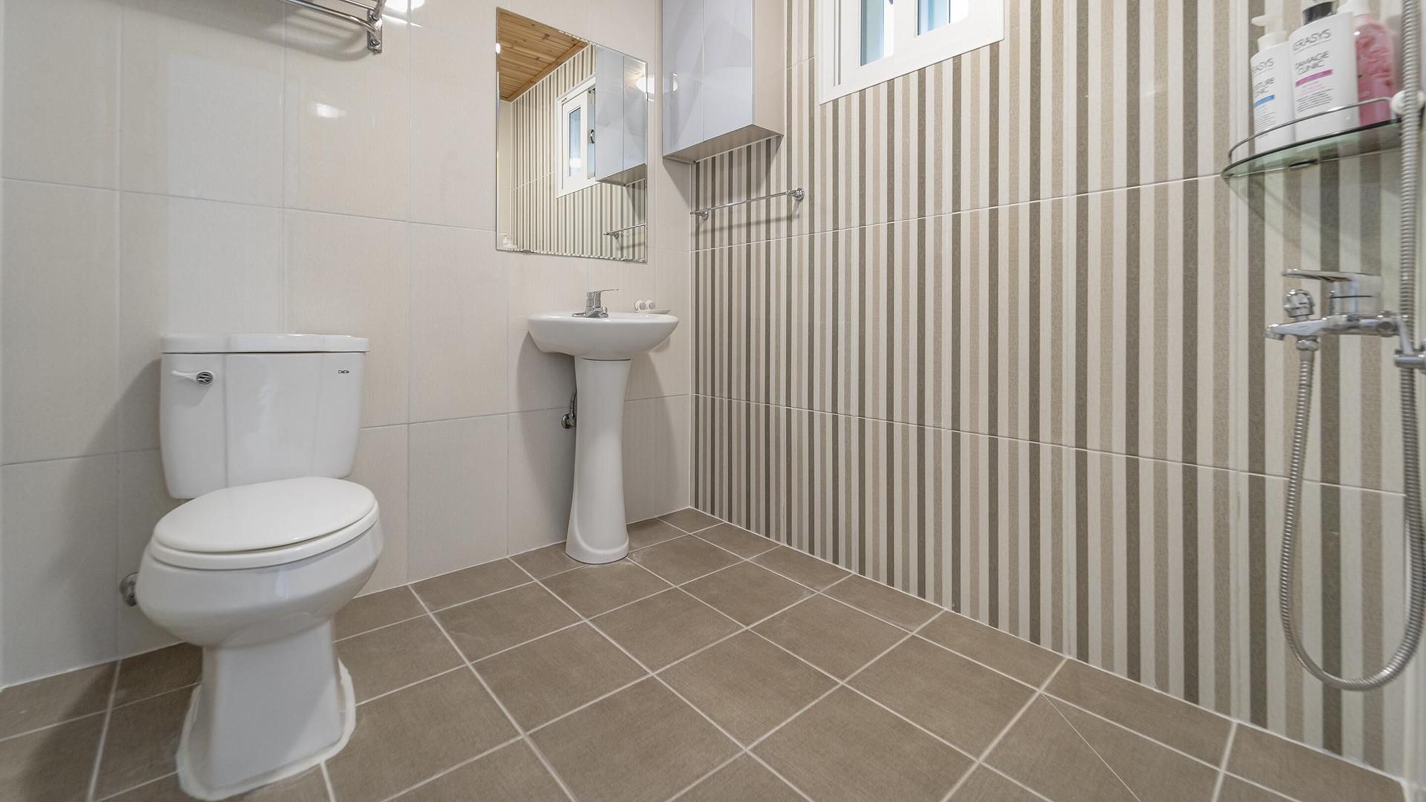 Un baño con inodoro, lavamanos y ducha.