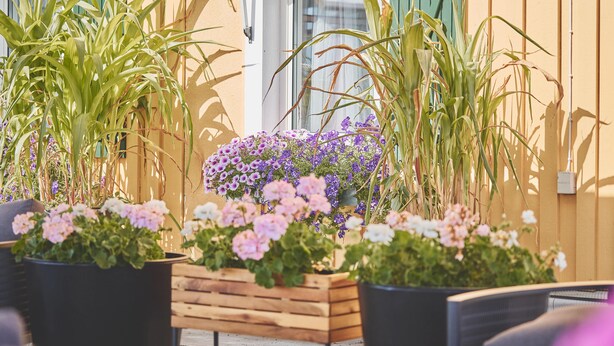 A patio area with potted plants and a wooden bench. - Björkbackens Vandrarhem i Vimmerby - Hostel (Vimmerby)