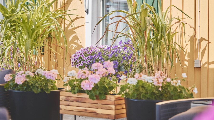 Björkbackens Vandrarhem i Vimmerby - Hostel