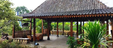 Terraza o patio
