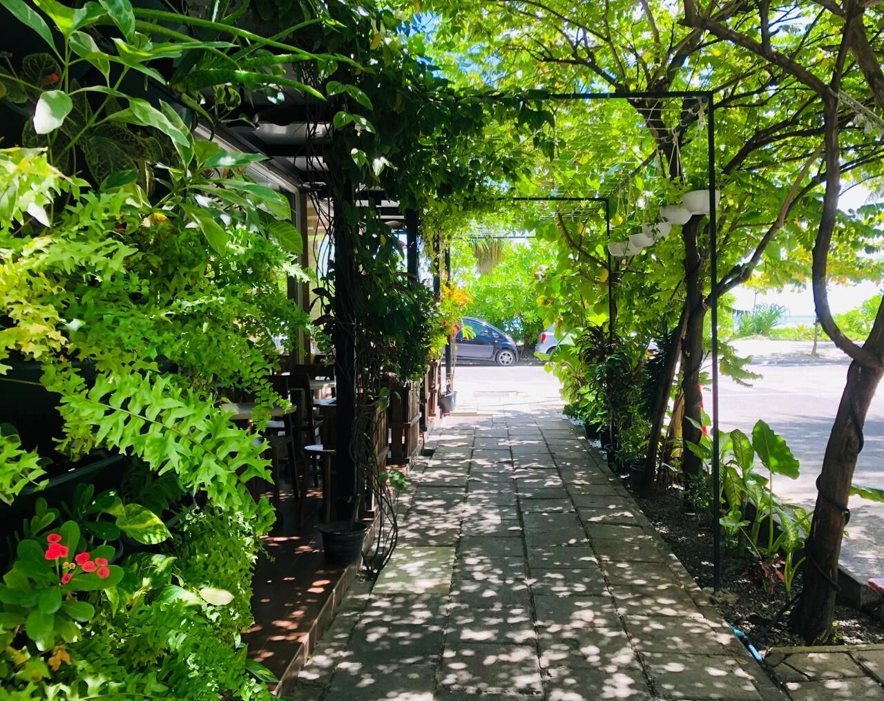 Opções para refeição ao ar livre