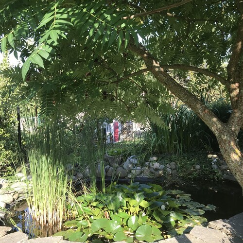 Comfortable cottage "Les Délices"