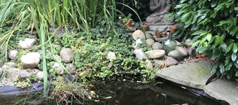 Comfortable cottage "Les Délices"