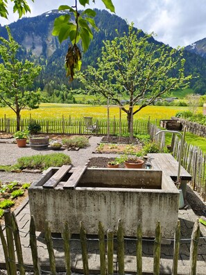 Property grounds - Room Gräsalp - Pension Zita (Schoppernau)